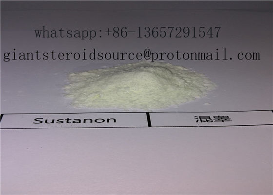 Most Famous Sustanon 250 Testosterone Raw Powder High Purity Strong Effect