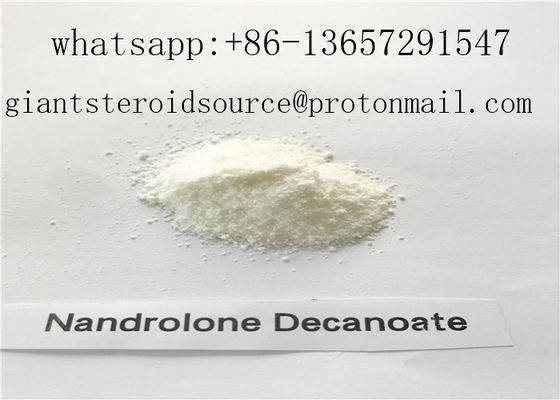 Güçlü Anabolik Steroid Nandrolone Decanoat Tozu% 99.3 USP33 DECA Tozu CAS 360-70-3