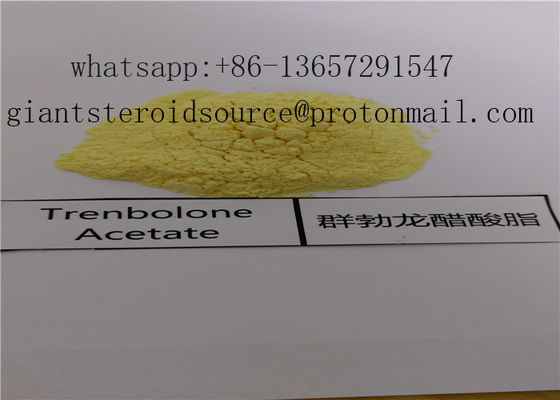 % 99.02 USP31 Anabolik Steroid Trenbolon Asetat Tozu Açık Sarı / Koyu Sarı CAS 10161-34-9